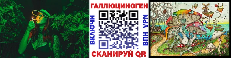 дарнет шоп  Нерюнгри  Псилоцибиновые грибы Psilocybine cubensis 
